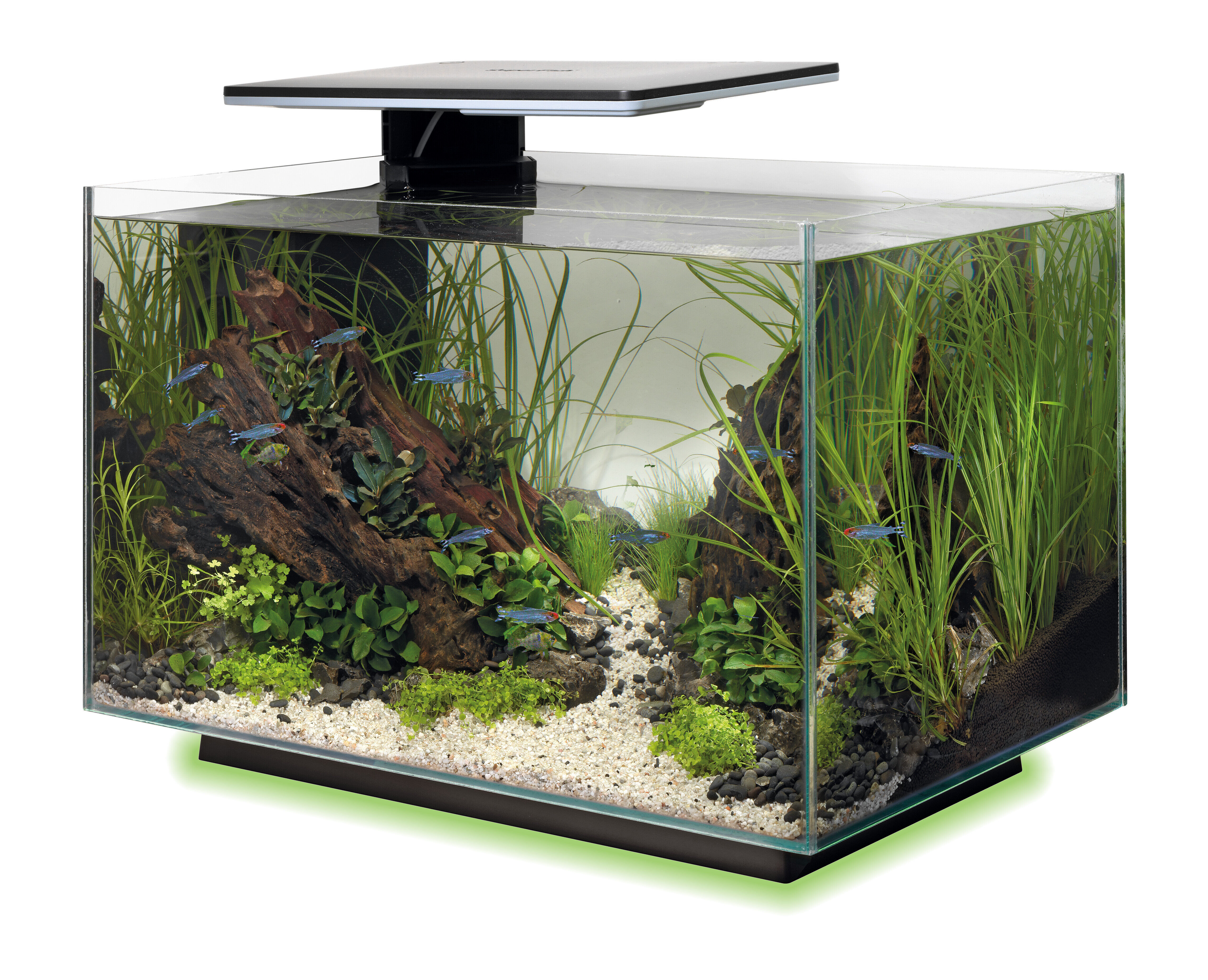 Superfish - Aquarium Quadro 40 Multi Colour - Noir Image num&eacute;ro 8