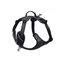 Kyflie - Harnais de promenade MOMENTUM Noir pour Chien - XS Indicateur image numéro 1