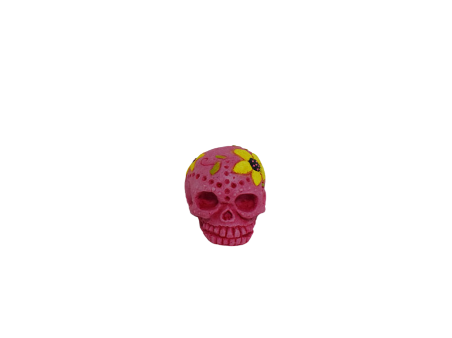 Amtra - D&eacute;coration Mexique Cr&acirc;ne Rose pour Aquarium - S Image num&eacute;ro 1