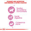 Royal Canin - Croquettes Kitten Second Age pour Chatons - 10Kg Indicateur image numéro 3