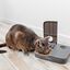PetSafe - Distributeur Automatique 2 Repas pour Chien et Chat Indicateur image numéro 5