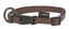 Goleygo - Ensemble Laisse Collier et Goupille Marron pour Chien - S Indicateur image numéro 3