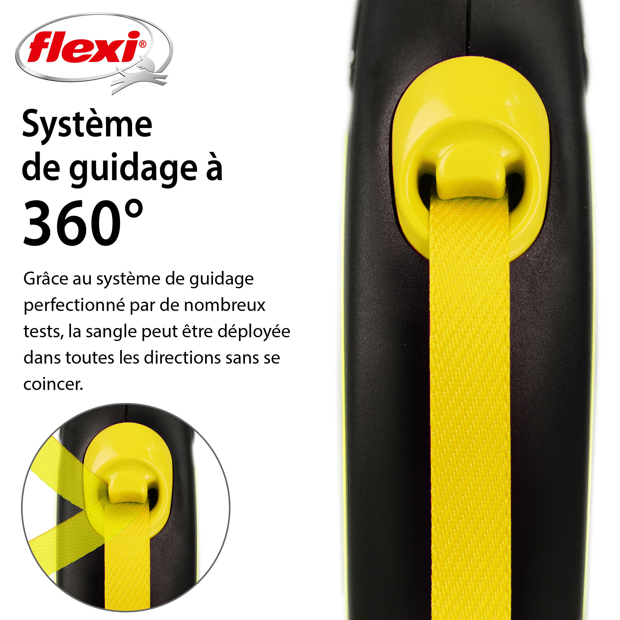 Flexi - Laisse New Neon Avec Sangle De 5m pour Chien - S 5m Image num&eacute;ro 2