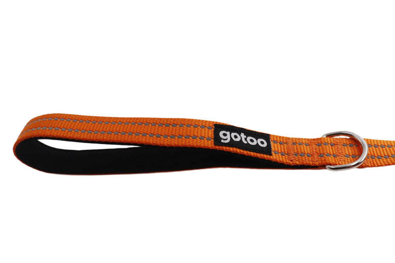 Gotoo - Laisse Essentials en Nylon Premium Orange pour Chien Image numéro 2 Gotoo - Laisse Essentials en Nylon Premium Orange pour Chien Image numéro 2
