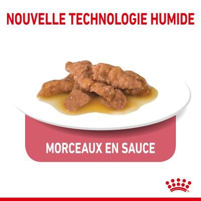 Royal Canin - Sachets Indoor 7+ en Sauce pour Chat - 12x85g Image num&eacute;ro 4