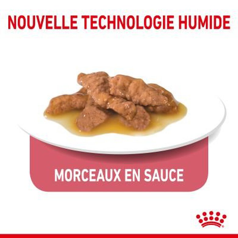 Royal Canin - Sachets Indoor 7+ en Sauce pour Chat - 12x85g Image numéro 4 Royal Canin - Sachets Indoor 7+ en Sauce pour Chat - 12x85g Image numéro 4