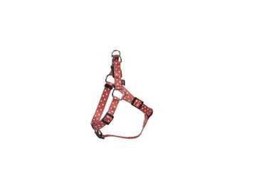 Bobby - Harnais Baudrier Rio Anthracite pour Chiens