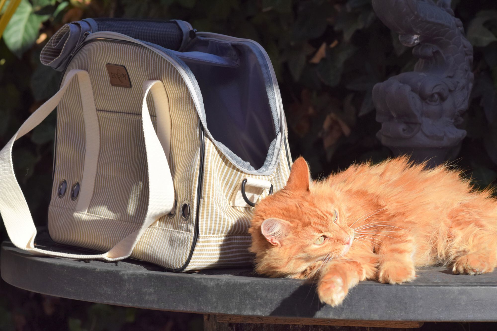 Bobby - Sac de Transport Tennis Beige pour Chiens et Chats - 45cm Image num&eacute;ro 8