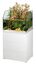 Eheim - Aquarium + Meuble Blanc Proxima Fauna - 113L Indicateur image numéro 1