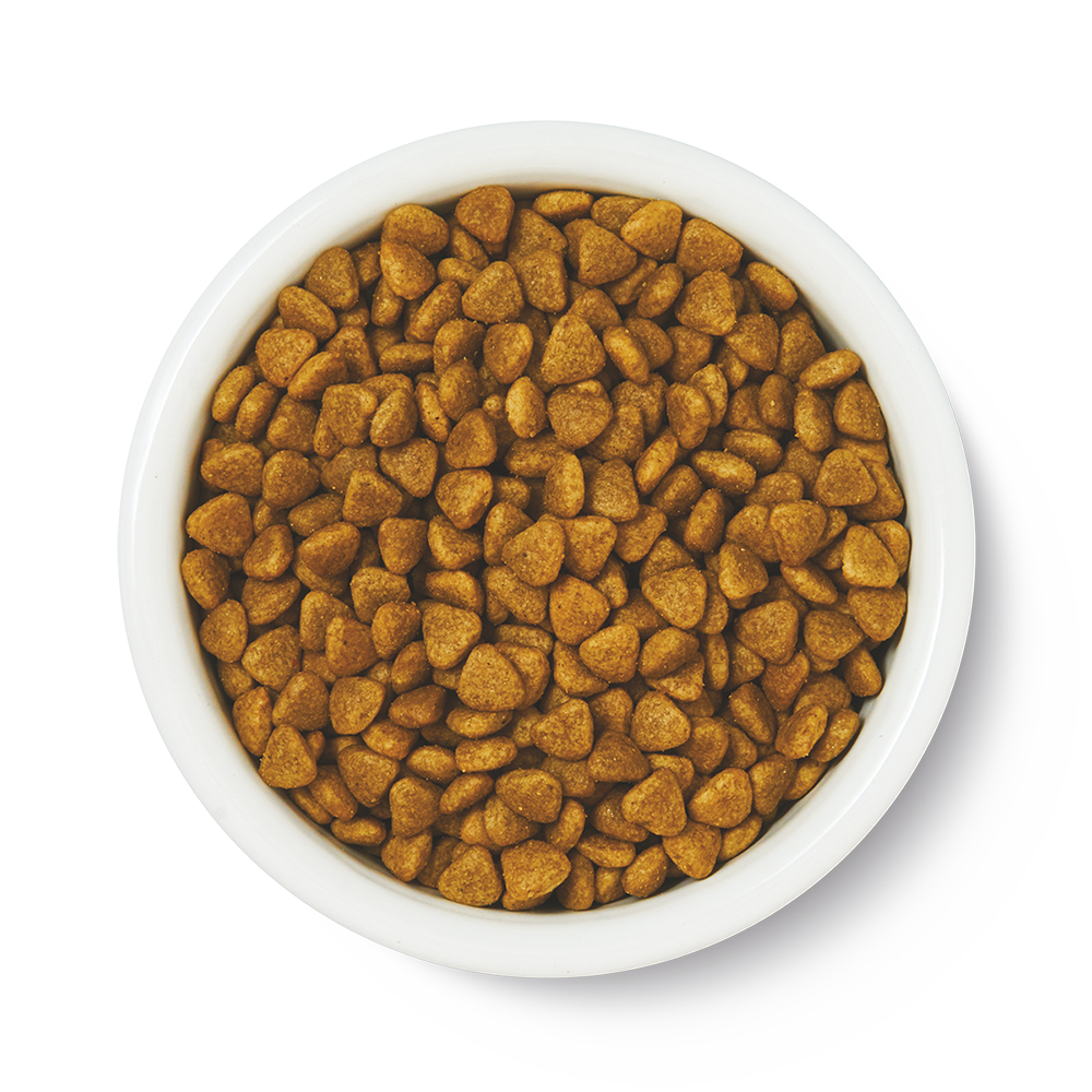 Lily's Kitchen - Croquettes Compl&egrave;tes sans C&eacute;r&eacute;ales Poulet Frais et L&eacute;gumes pour Chats Adultes - 2Kg Image num&eacute;ro 3