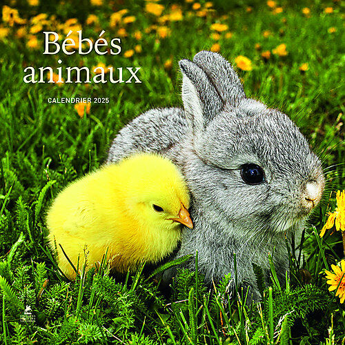 Ulmer - B&eacute;b&eacute;s animaux calendrier 2025 Image num&eacute;ro 1