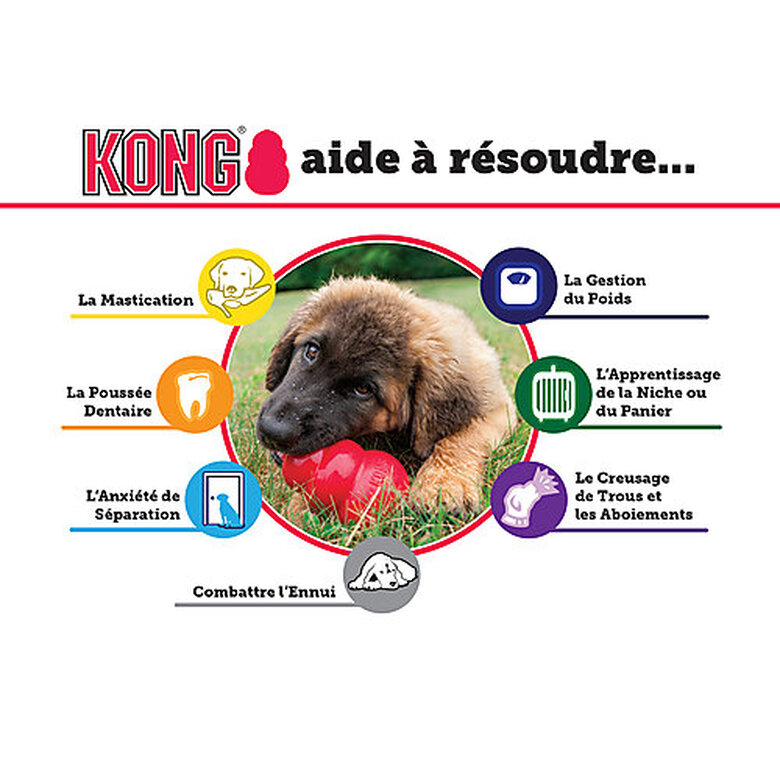 KONG - Jouet Extreme pour Chien - M image number null
