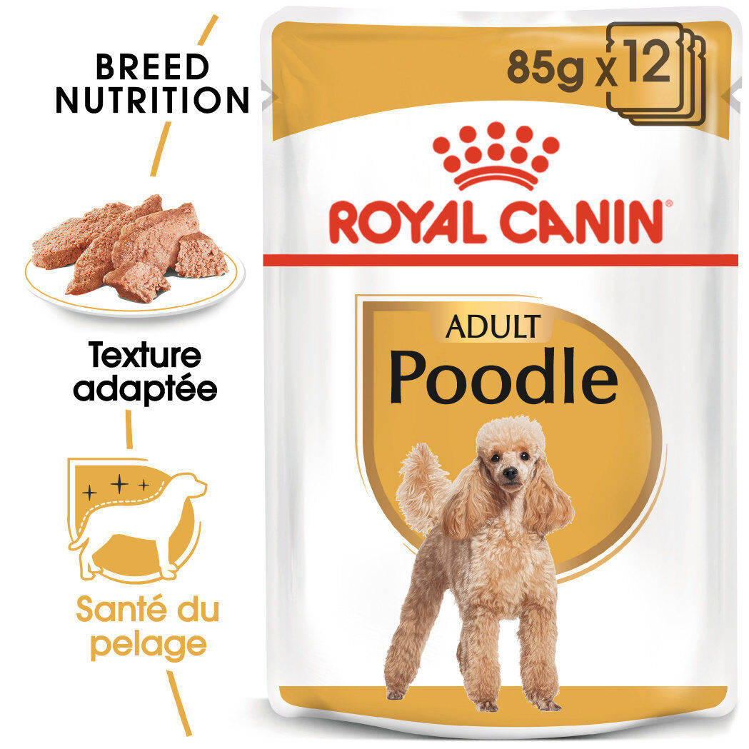 Royal Canin - P&acirc;t&eacute;e en Mousse POODLE ADULT pour Chiens - 12X85g Image num&eacute;ro 1