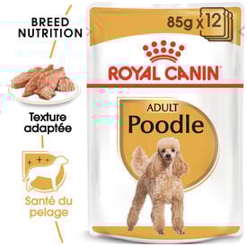 Royal Canin - Pâtée en Mousse POODLE ADULT pour Chiens - 12X85g