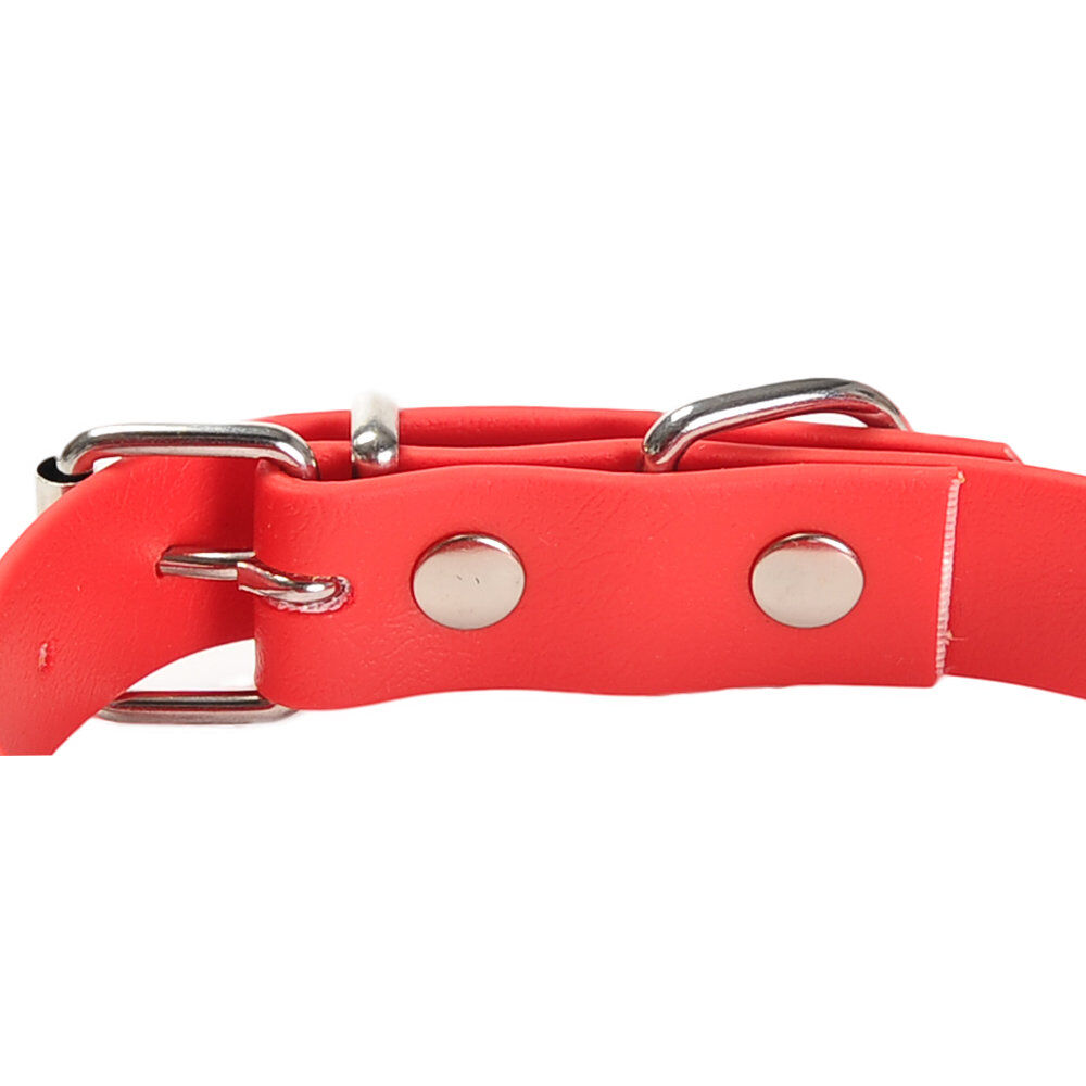 Gotoo - Collier Premium Biotane Rouge pour Chien - S Image num&eacute;ro 2