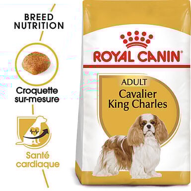 Royal Canin - Croquettes Cavalier King Charles Adult - 1,5Kg