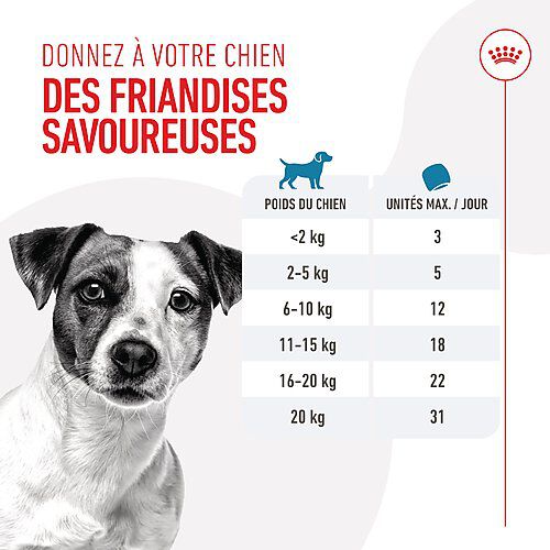 Royal Canin - Training Treats Friandises d'Education pour Chiots et Chiens Adultes - 110g Image num&eacute;ro 11