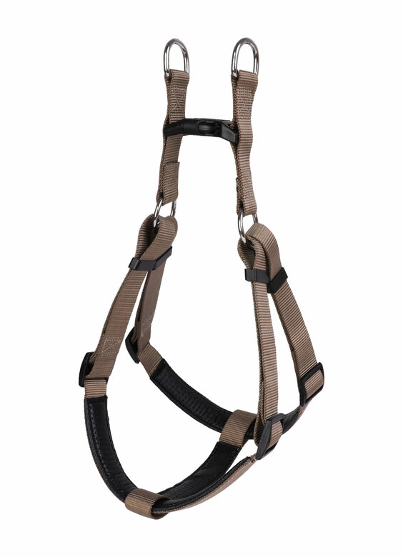 Animalis - Harnais Basic Confort Taupe pour Chien - T1 15mm et 45/57cm Image numéro 2 Animalis - Harnais Basic Confort Taupe pour Chien - T1 15mm et 45/57cm Image numéro 2