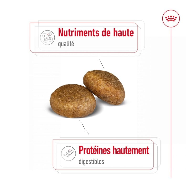 Royal Canin - Croquettes Maxi Adult - 10Kg image number null