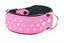 Yogipet - Collier Crystal Déco pour Chien Rose - T50 40/47cm Indicateur image numéro 3