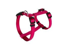 Animalis - Harnais Basic pour Chien - Fuchsia