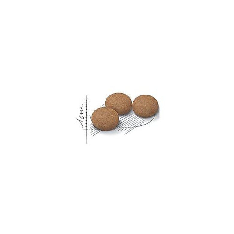 Royal Canin - Croquettes Ageing Sterilised 12+ pour Chat Senior - 400g image number null