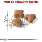 Royal Canin - Croquettes Sensible 33 pour Chat Adulte - 2Kg image number null