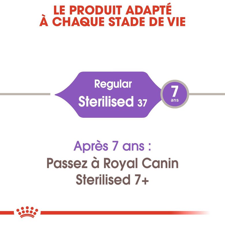 Royal Canin - Croquettes Sterilised 37 pour Chat - 2Kg Image numéro 3 Royal Canin - Croquettes Sterilised 37 pour Chat - 2Kg Image numéro 3