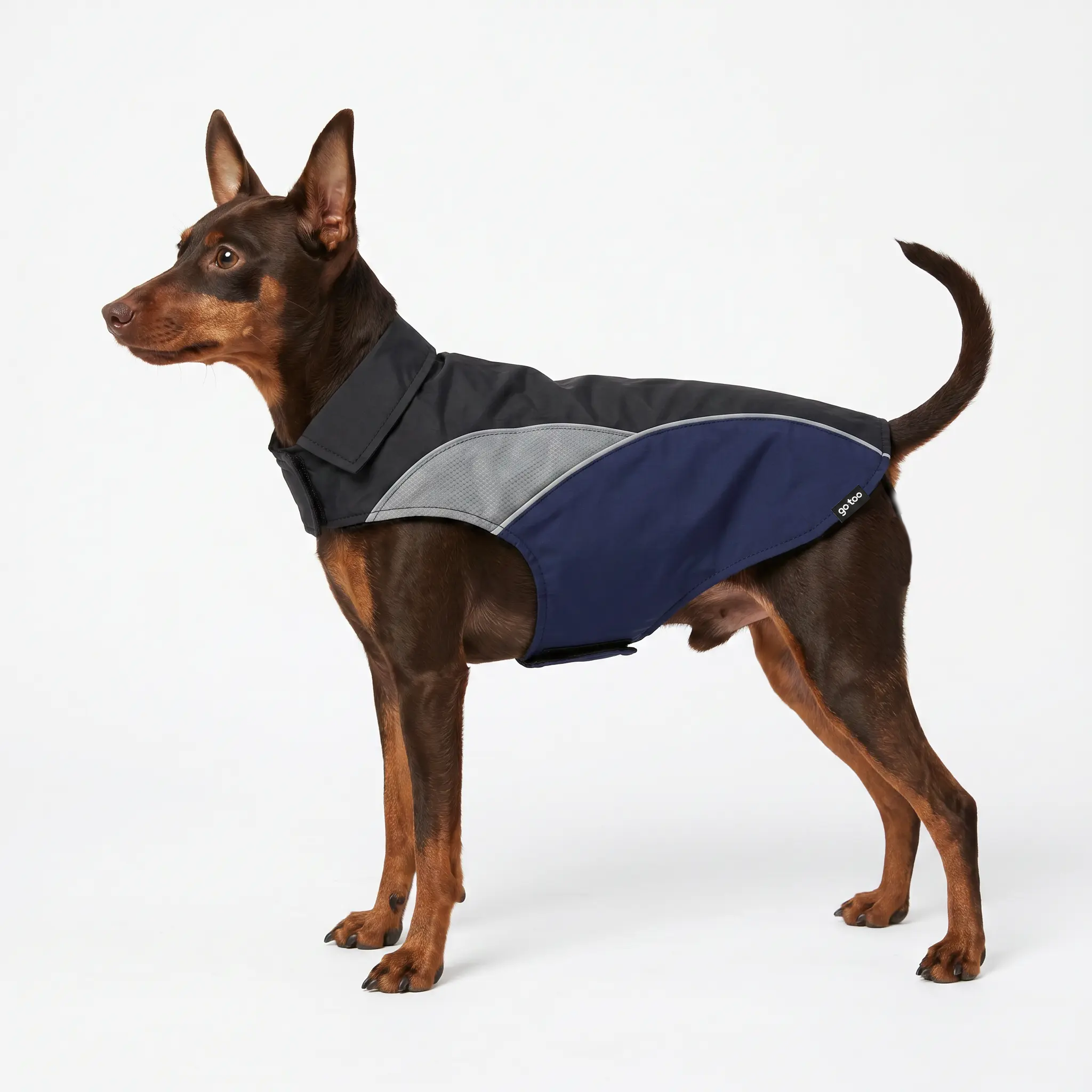 Gotoo - Manteau Imperm&eacute;able Bleu pour Chiens - 40cm Image num&eacute;ro 4