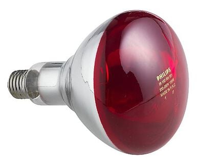 Philips - Lampe I.R. Hardglass de 150W
