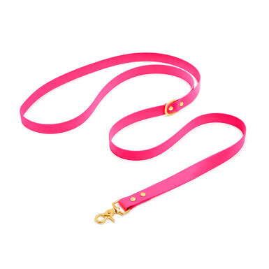 Pop Dog - Laisse Bandoulière Glouton Rose pour Chien