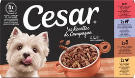 Cesar -  Barquettes Mini Filets en Sauce 4 vari&eacute;t&eacute;s pour Chiens - 8x150g