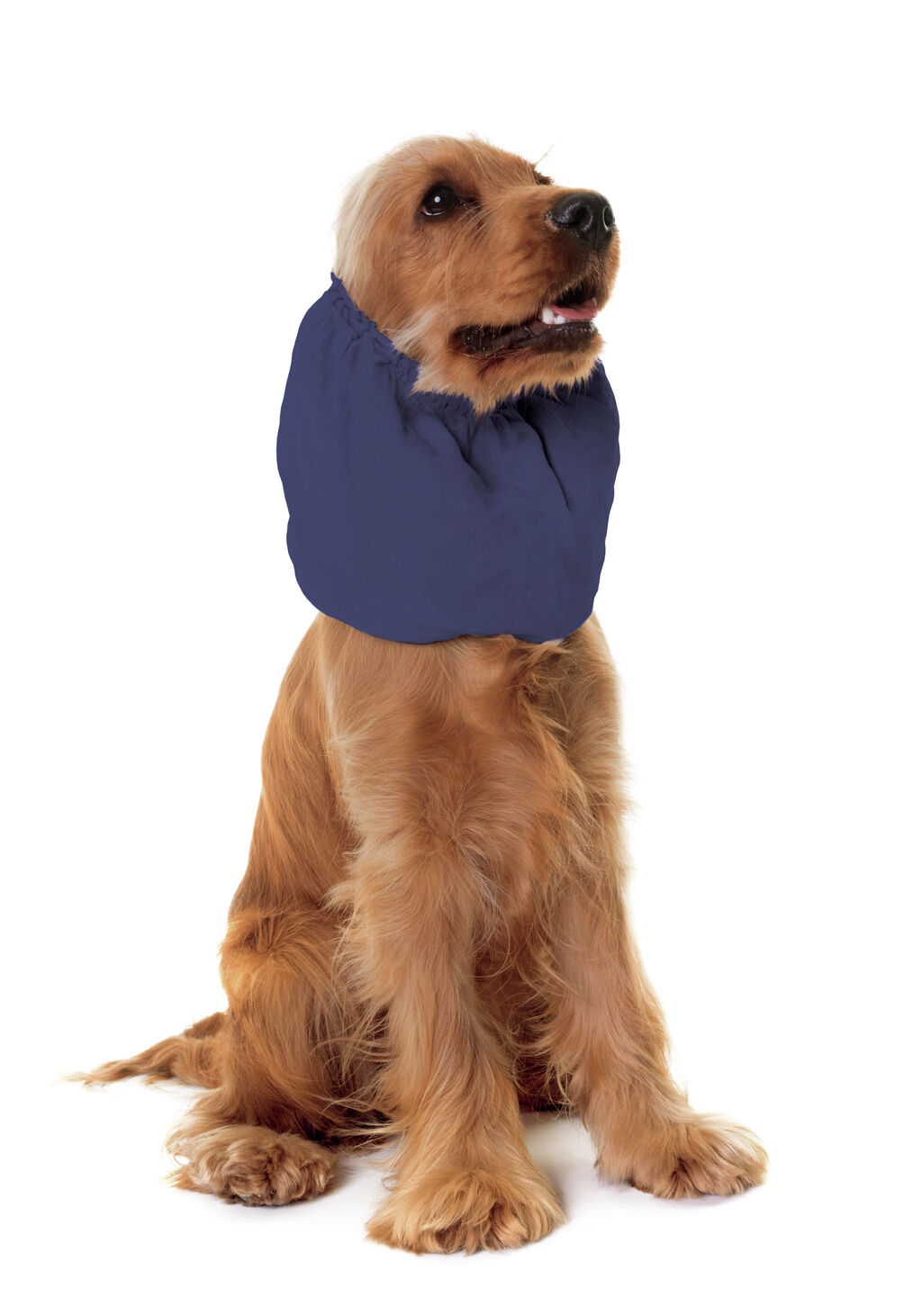 Camon - Cache-Oreilles Snood pour Chiens - Bleu Image num&eacute;ro 2