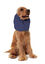Camon - Cache-Oreilles Snood pour Chiens - Bleu Indicateur image num&eacute;ro 2