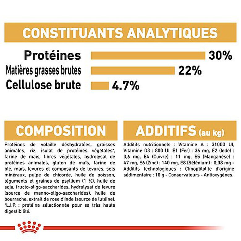 Royal Canin - Croquettes Persian pour Chat Adulte à partir de 12 Mois - 10Kg Image numéro 8 Royal Canin - Croquettes Persian pour Chat Adulte à partir de 12 Mois - 10Kg Image numéro 8