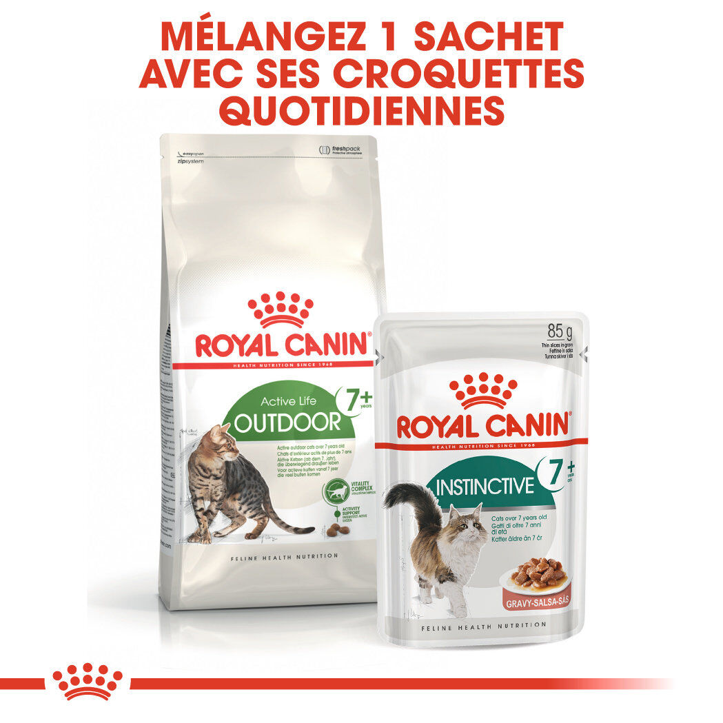 Royal Canin - Croquettes Outdoor7+ pour Chat d'Ext&eacute;rieur - 10Kg Image num&eacute;ro 6