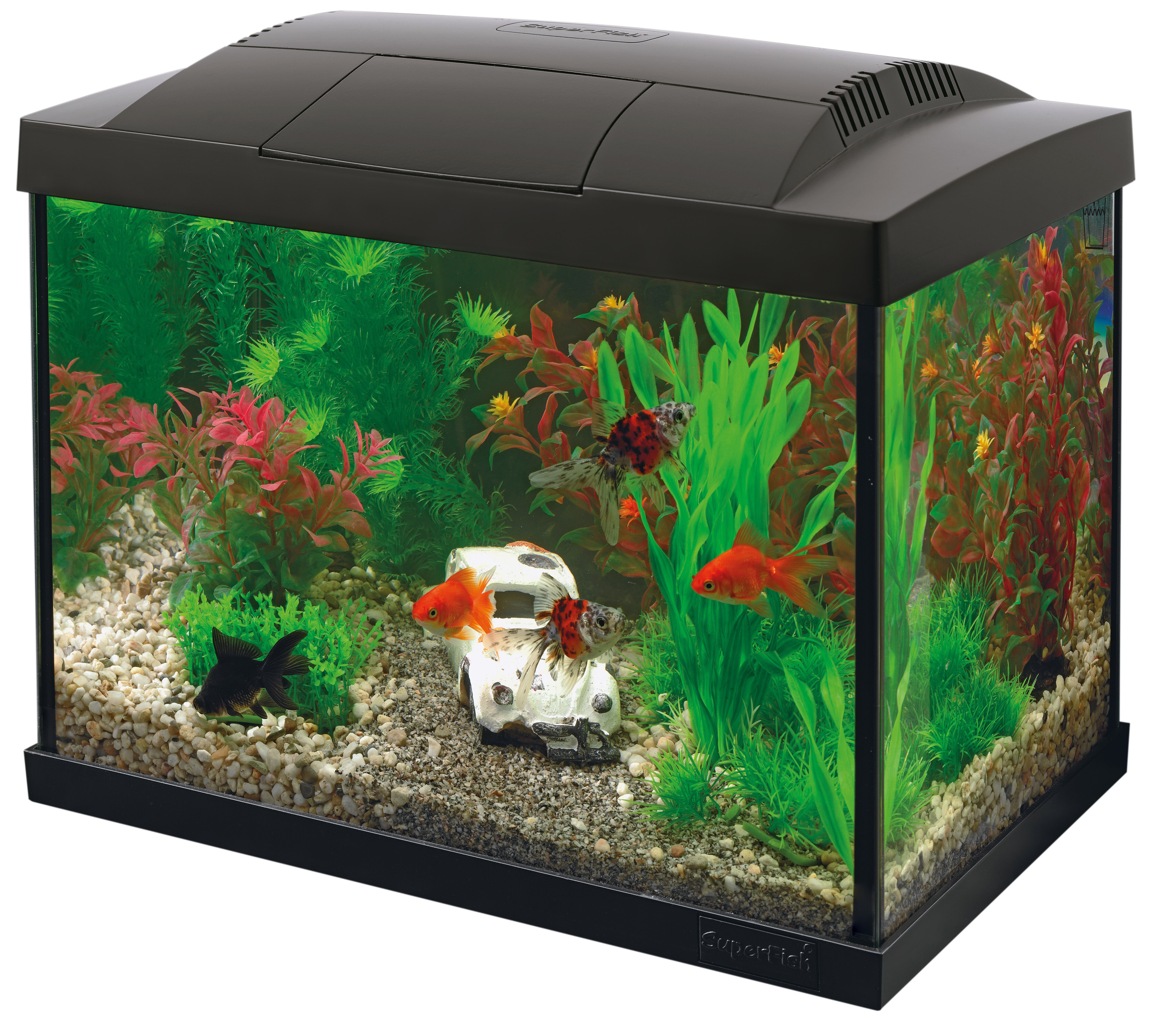 Superfish -  Kit Aquarium START 20 Noir - 16L Image num&eacute;ro 2