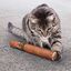 KONG - Jouet Cigare Better Buzz Cigar pour Chat Indicateur image numéro 3