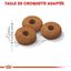 Royal Canin - Croquettes Sterilised Appetite Control pour Chat Stérilisé - 10 Kg Indicateur image numéro 5