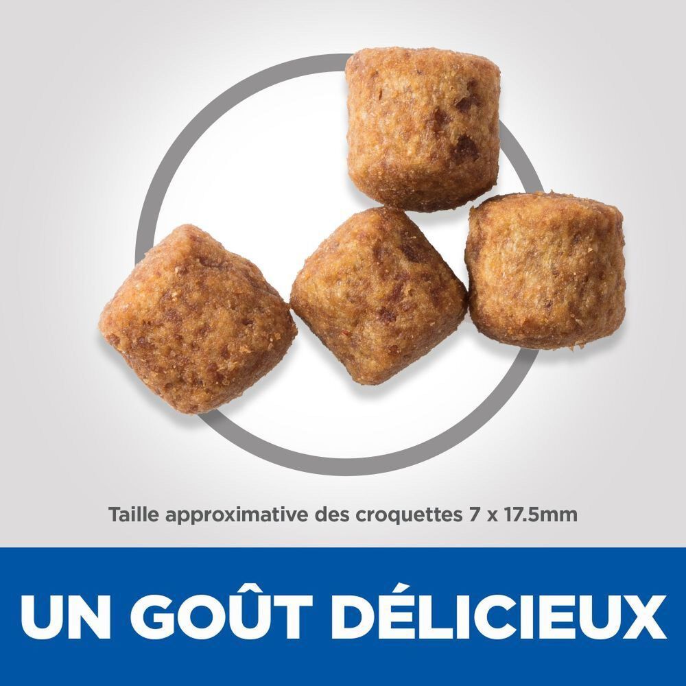 Hill's Science Plan - Adult Light Croquettes Pour Grand Chien Au Poulet  - 18kg Image num&eacute;ro 5