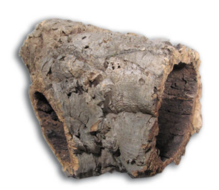 Aquavie - Tube de Li&egrave;ge pour Terrarium - 2cm Image num&eacute;ro 1