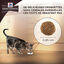 Hill's - Croquettes Ideal Balance No Grain au Poulet pour Chats - 1,5Kg Indicateur image numéro 3