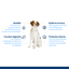 Nath - Croquettes Mini Adult au Poulet Pour Chien - 400g Indicateur image num&eacute;ro 2