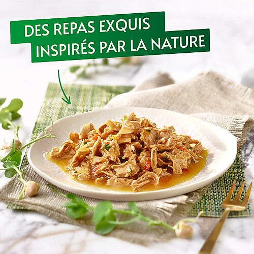 GOURMET - P&acirc;t&eacute;e Nature's Creation Multipack Au Poulet et Dinde pour Chats - 8X85g Image num&eacute;ro 2