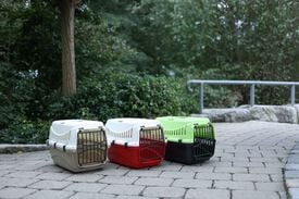 Kerbl - Box de transport Expedion cr&egrave;me/taupe pour Chats - 48X32X32cm