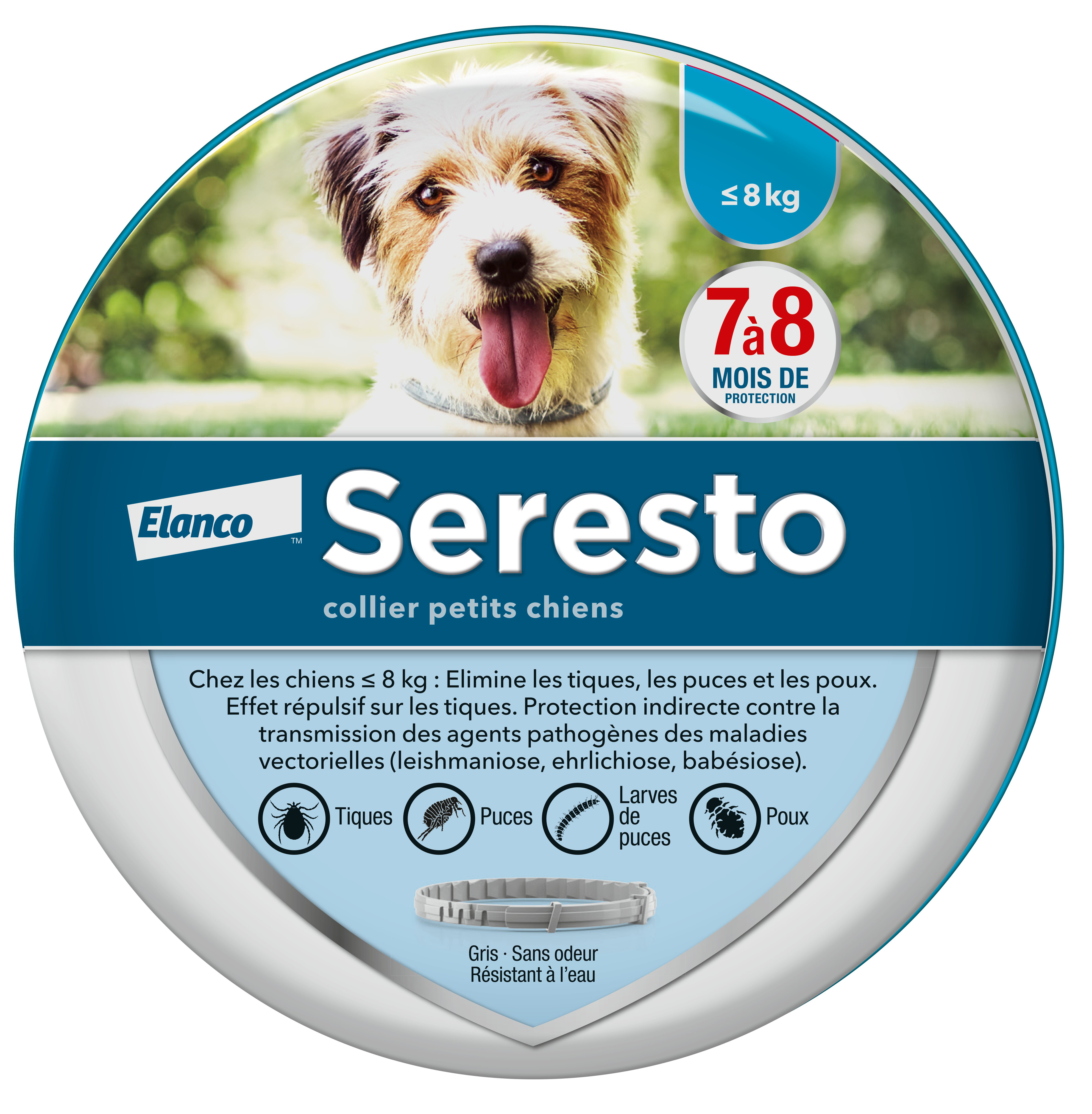Elanco - Collier Seresto Antiparasitaires pour Petit Chien Image num&eacute;ro 1