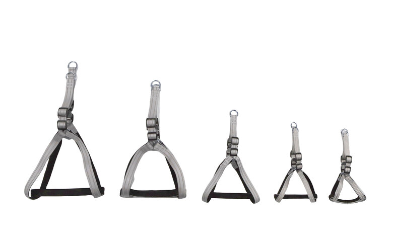 Gotoo - Harnais Essentials en Nylon Premium Gris pour Chien - XS Image numéro 5 Gotoo - Harnais Essentials en Nylon Premium Gris pour Chien - XS Image numéro 5