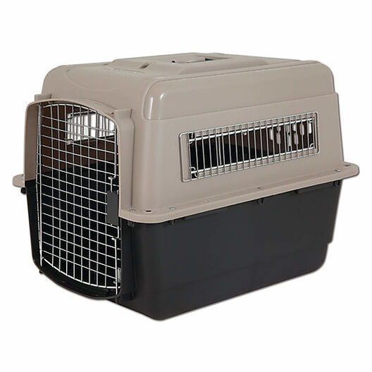 Transport chien : caisse, cage, accessoires - Animalerie 