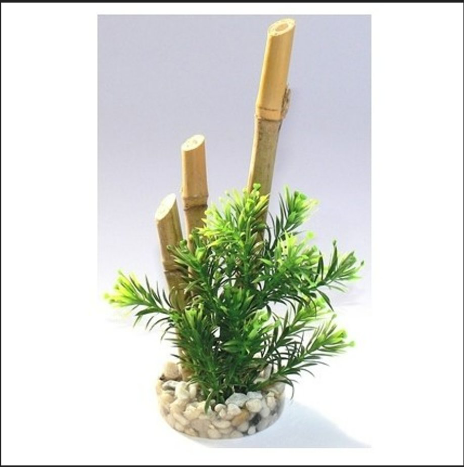 Tyrol - D&eacute;coration Plante Bambou pour Aquarium - 6cm Image num&eacute;ro 1
