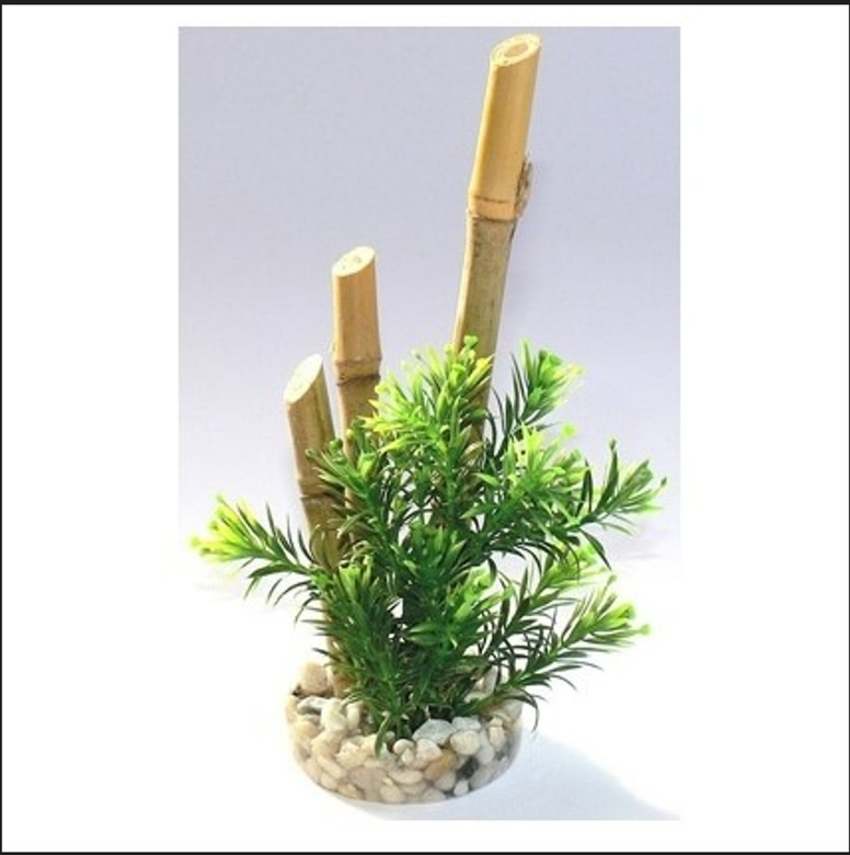 Tyrol - Décoration Plante Bambou pour Aquarium - 6cm Image numéro 1 Tyrol - Décoration Plante Bambou pour Aquarium - 6cm Image numéro 1